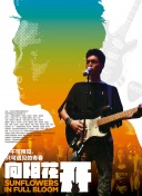 网站SEO投放中的风险识别与控制策略解析